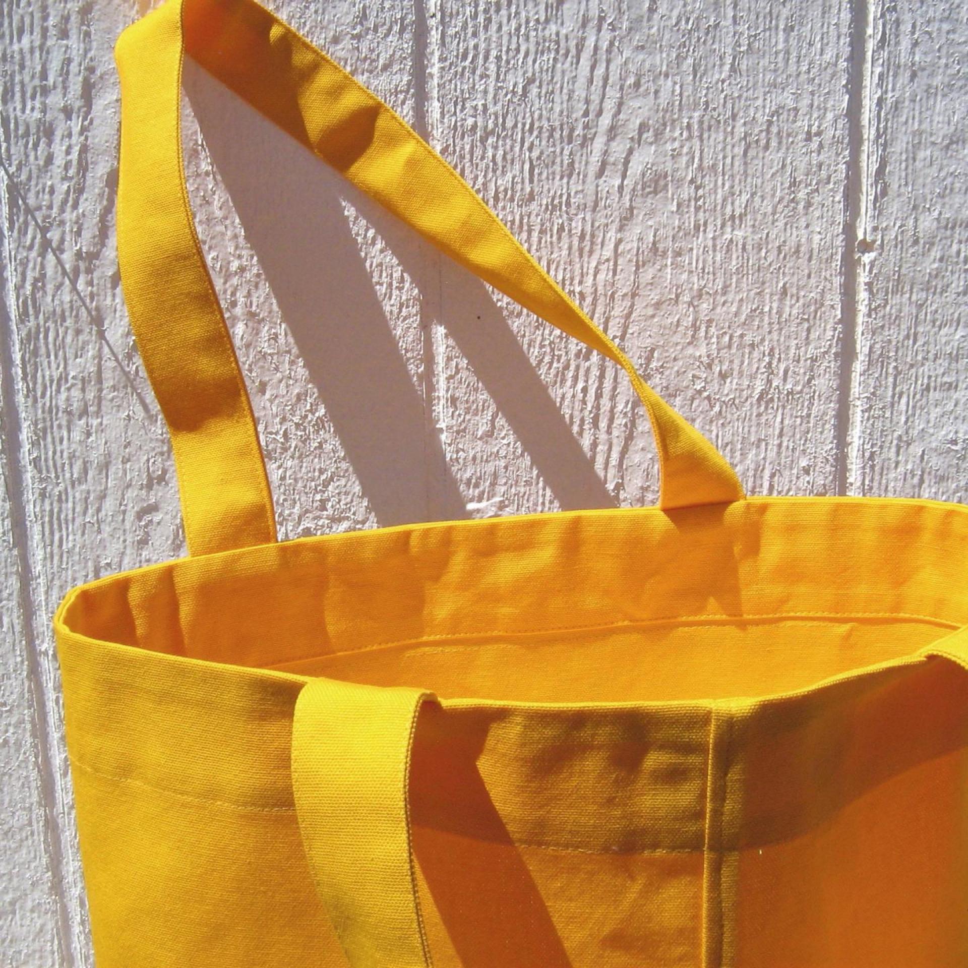 Fabric Shopping Bag, Orange Duck Canvas Tote with Vintage Peach Botanical Illustration, Eco-Friendly
